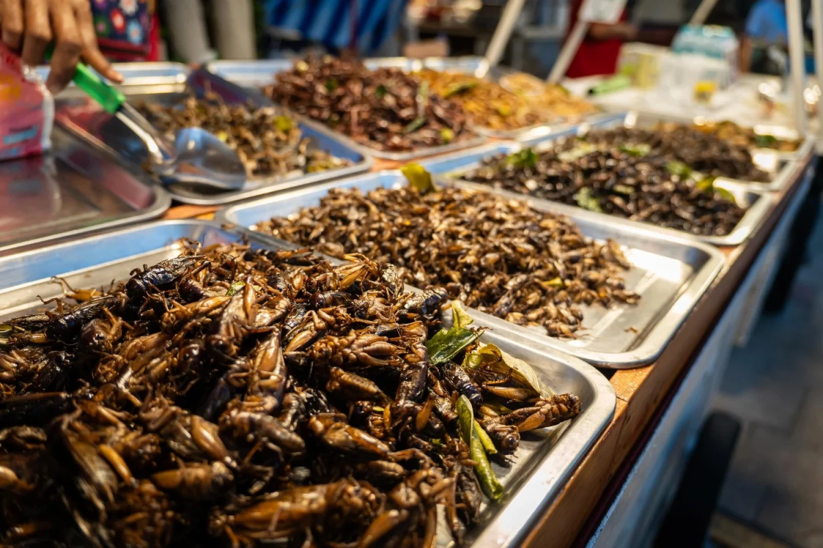 Imagen de Destino gastronómico Tailandia: del cuenco de los monjes a la cocina de autor 7 Imagen de Destino gastronómico Tailandia: del cuenco de los monjes a la cocina de autor