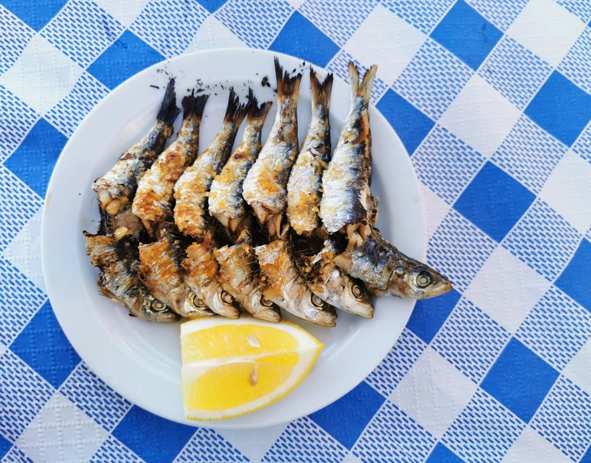 Imagen de Gastro Guía de Lisboa 2025: sabores atlánticos entre el pescado a la brasa y el pastel de nata