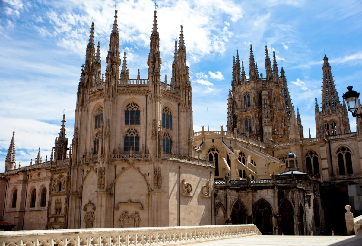 Imagen de Camino de Santiago: una ruta gastronómica y cultural hacia el corazón de Galicia 2 Imagen de Camino de Santiago: una ruta gastronómica y cultural hacia el corazón de Galicia