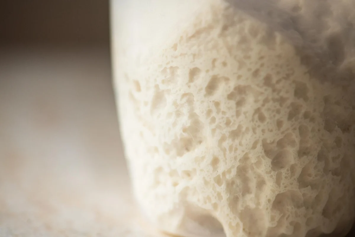Imagen de Fermentación de alimentos o el arte milenario de dejar que el tiempo cocine