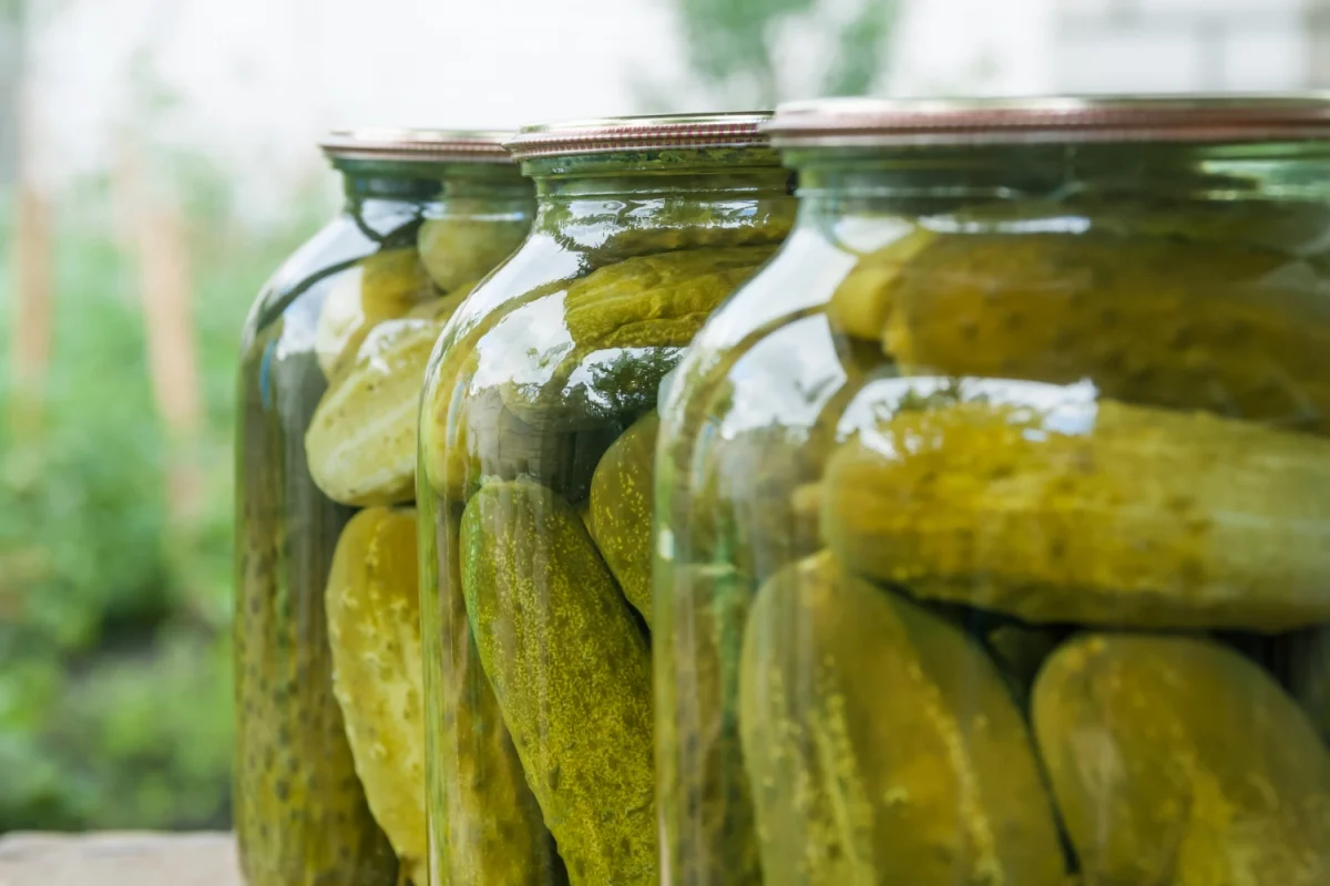 Imagen de Fermentación de alimentos o el arte milenario de dejar que el tiempo cocine