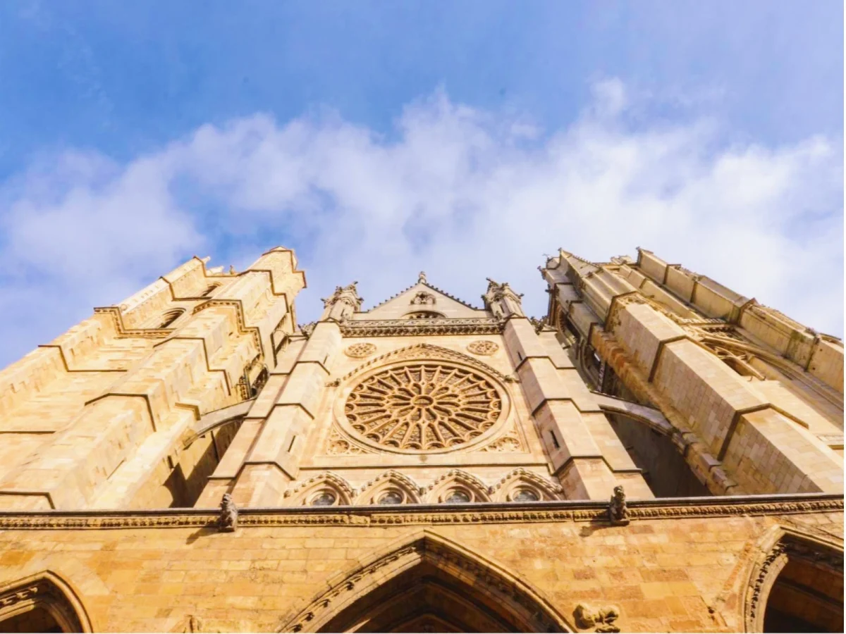 Imagen de Camino de Santiago: una ruta gastronómica y cultural hacia el corazón de Galicia 3 Imagen de Camino de Santiago: una ruta gastronómica y cultural hacia el corazón de Galicia