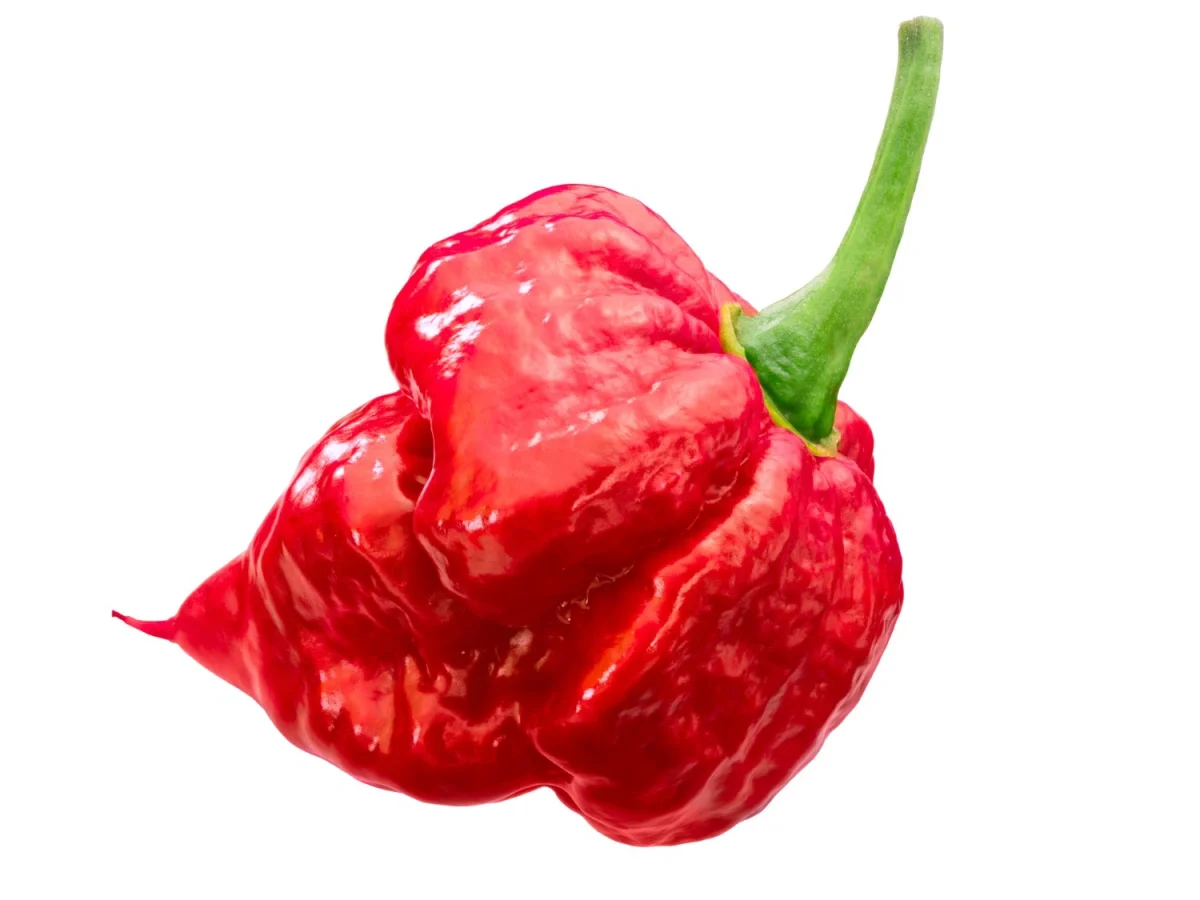 Imagen de Los diez chiles más picantes del mundo (y cómo sobrevivir a ellos)
