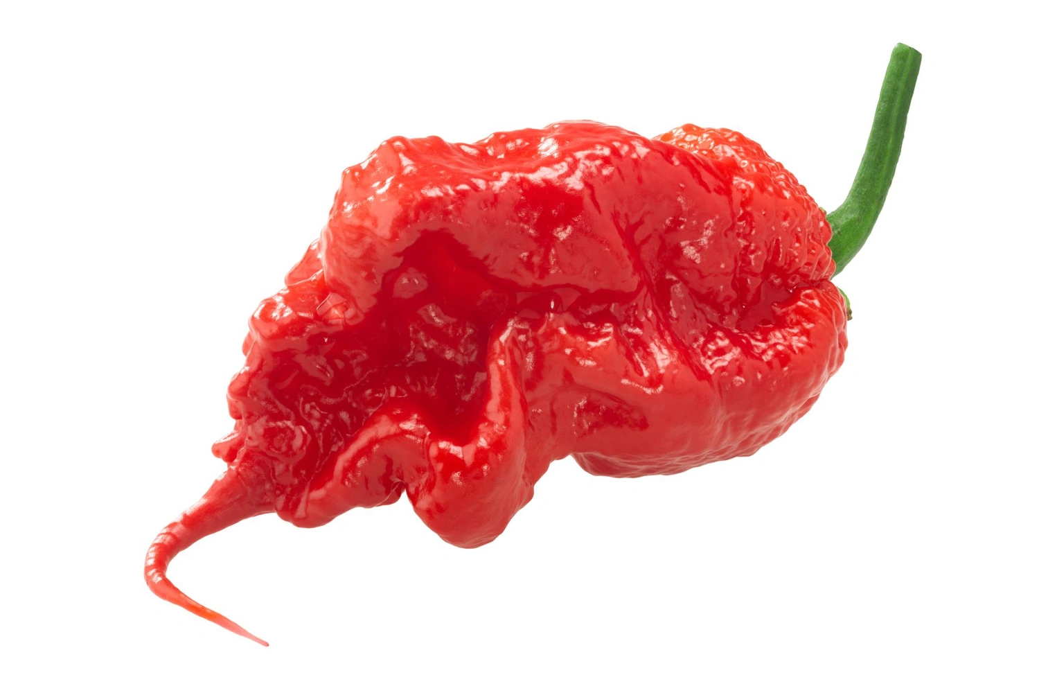 Imagen de Los diez chiles más picantes del mundo (y cómo sobrevivir a ellos)