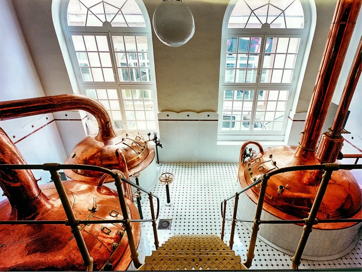 Imagen de Ámbar, la cerveza que nos puso bien