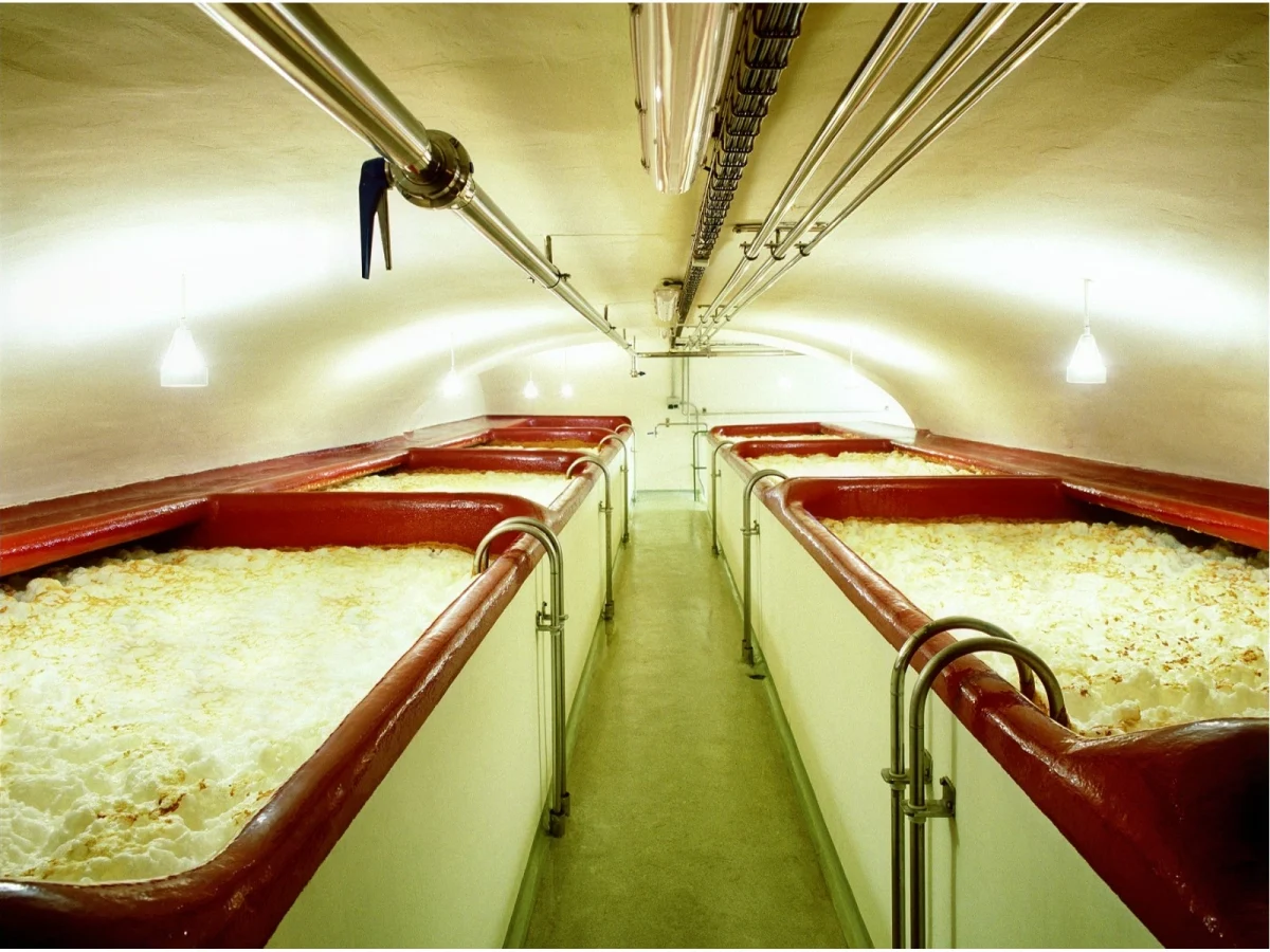 Imagen de Ámbar, la cerveza que nos puso bien