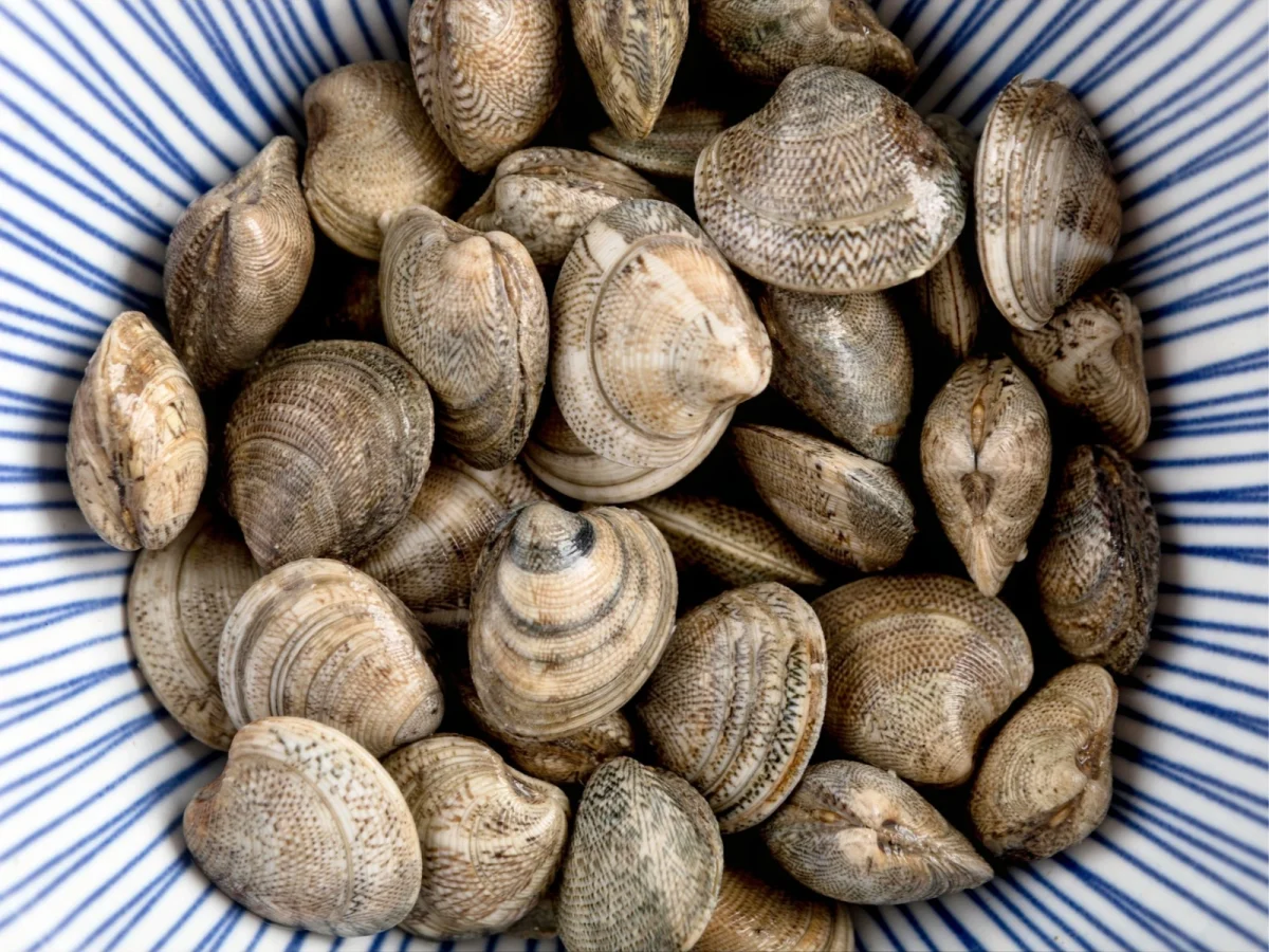 Imagen de Pescados de temporada en verano: guía de sabores y consumo responsable