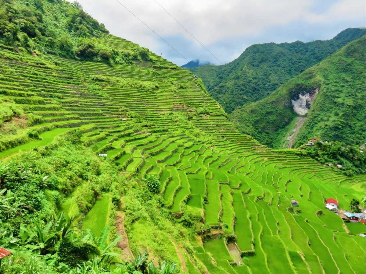 Imagen de Terrazas de arroz de Batad, viaje a la joya agrícola de Filipinas