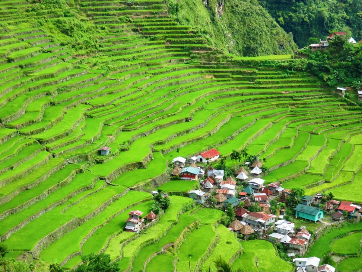 Imagen de Terrazas de arroz de Batad, viaje a la joya agrícola de Filipinas