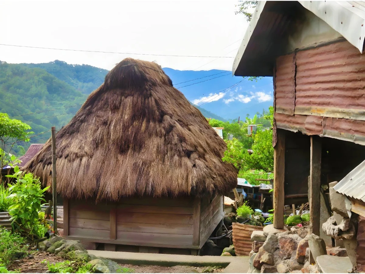 Imagen de Terrazas de arroz de Batad, viaje a la joya agrícola de Filipinas