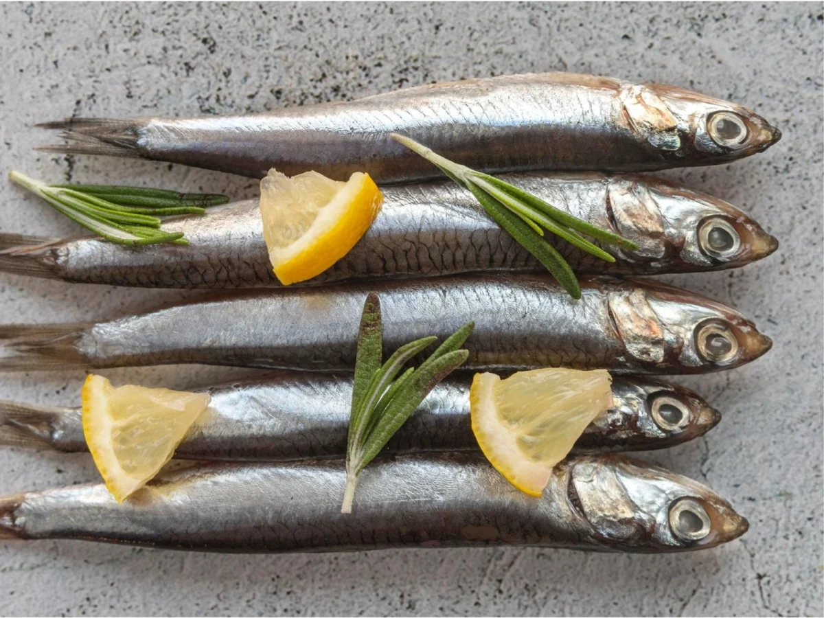 Imagen de Pescados de temporada en verano: guía de sabores y consumo responsable