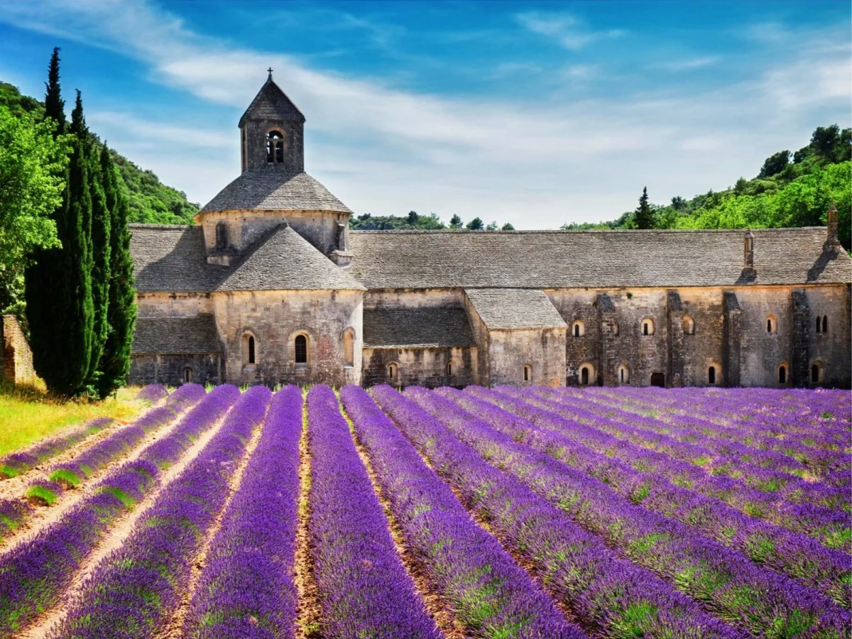 Imagen de De ruta gastronómica por la Provenza francesa