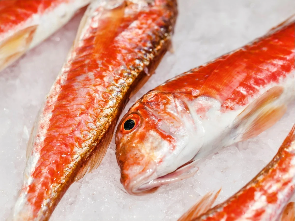 Imagen de Pescados de temporada en verano: guía de sabores y consumo responsable