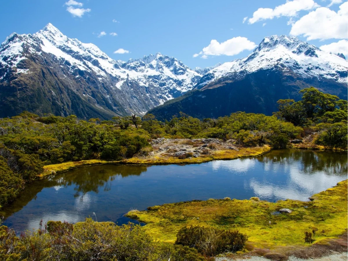 Imagen de Nueva Zelanda: naturaleza salvaje, cultura maorí y gastronomía auténtica