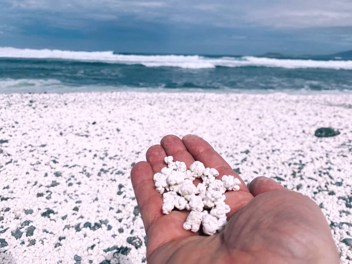 Imagen de Fuerteventura sin filtros: comer, mirar y volver a tener hambre