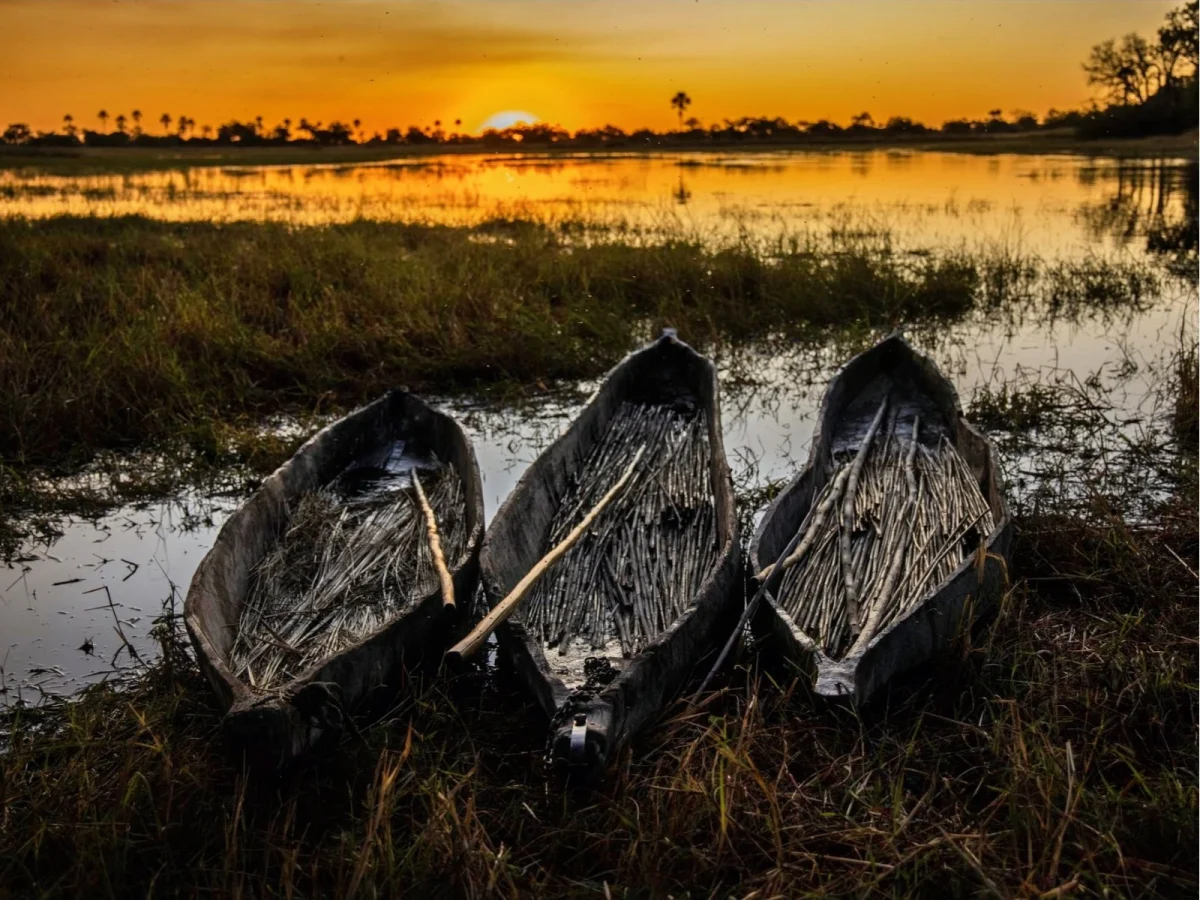 Imagen de Comida en un safari por Kenia, Tanzania y Botswana: sabores de la sabana
