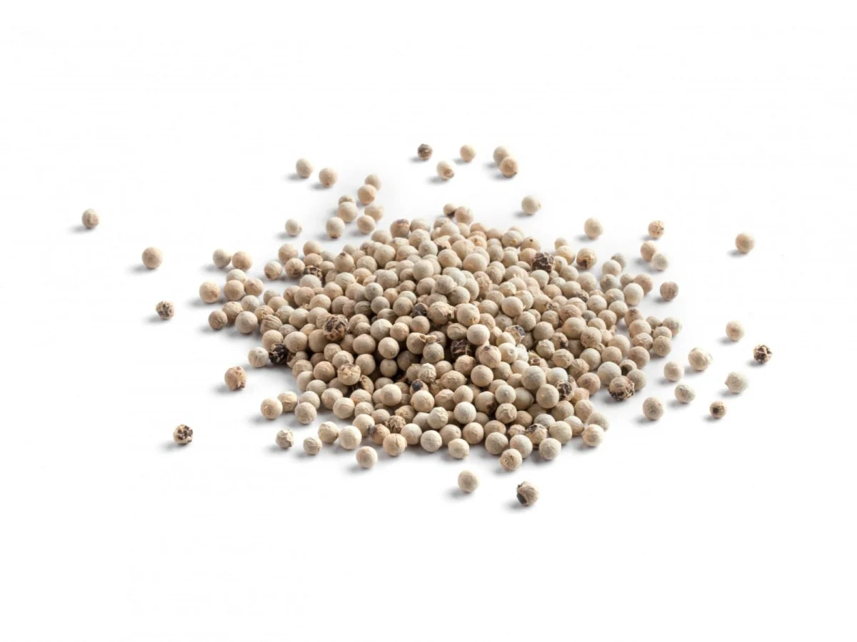 Imagen de De Malabar al mundo: así cambió la pimienta la historia de la comida