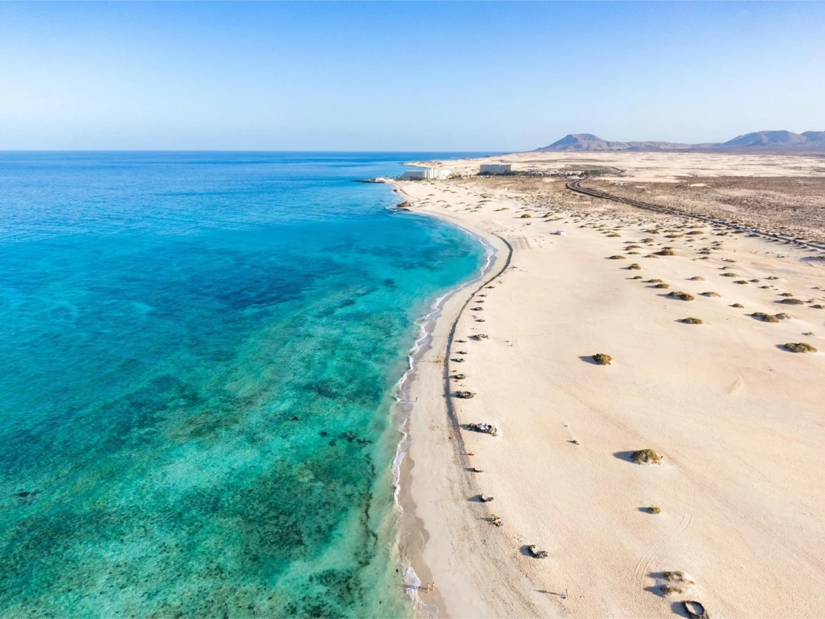 Imagen de Fuerteventura sin filtros: comer, mirar y volver a tener hambre