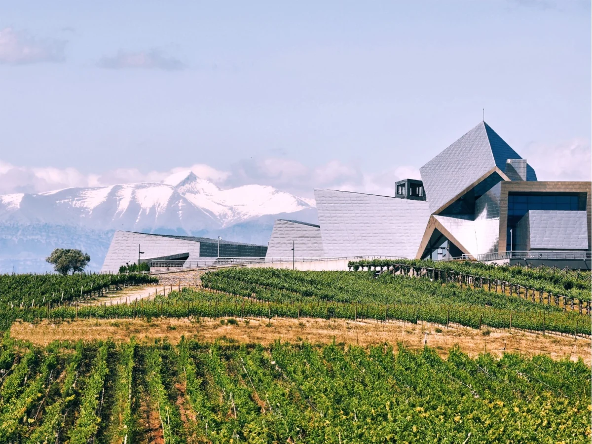 Imagen de Vino y sostenibilidad, nuevo rumbo en la lucha contra la huella de carbono