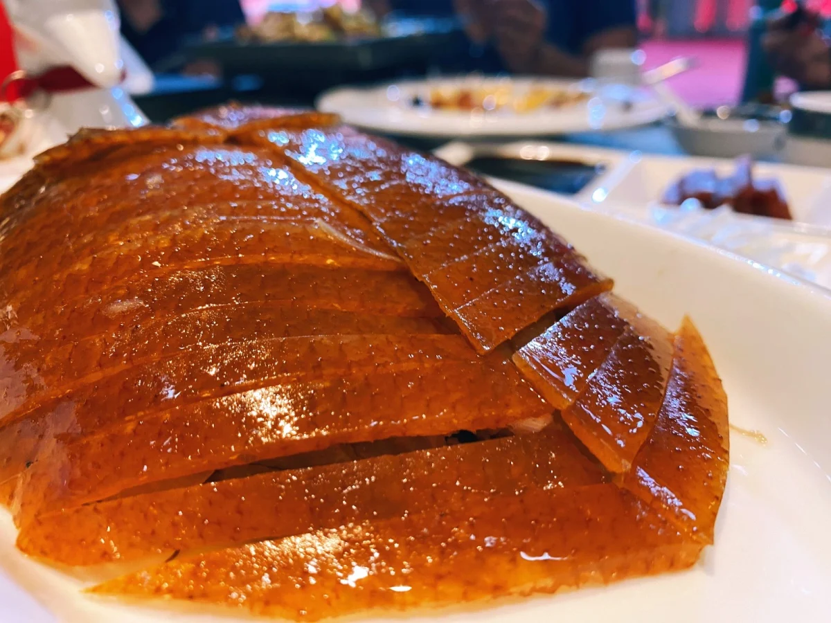 Imagen de La Ruta de la Seda: Libro de viaje (Completo)