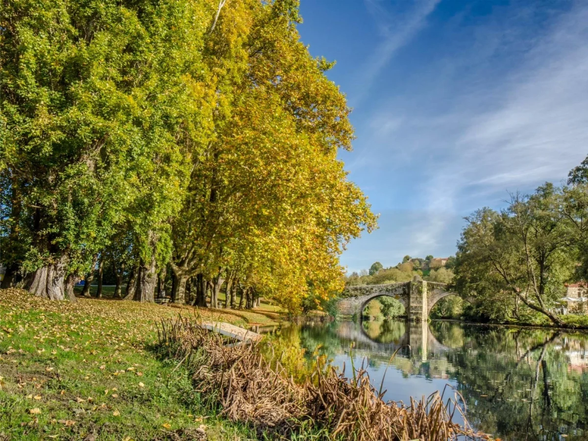 Imagen de Turismo en Galicia tras los incendios: cómo apoyar a las empresas locales con tu viaje (I)