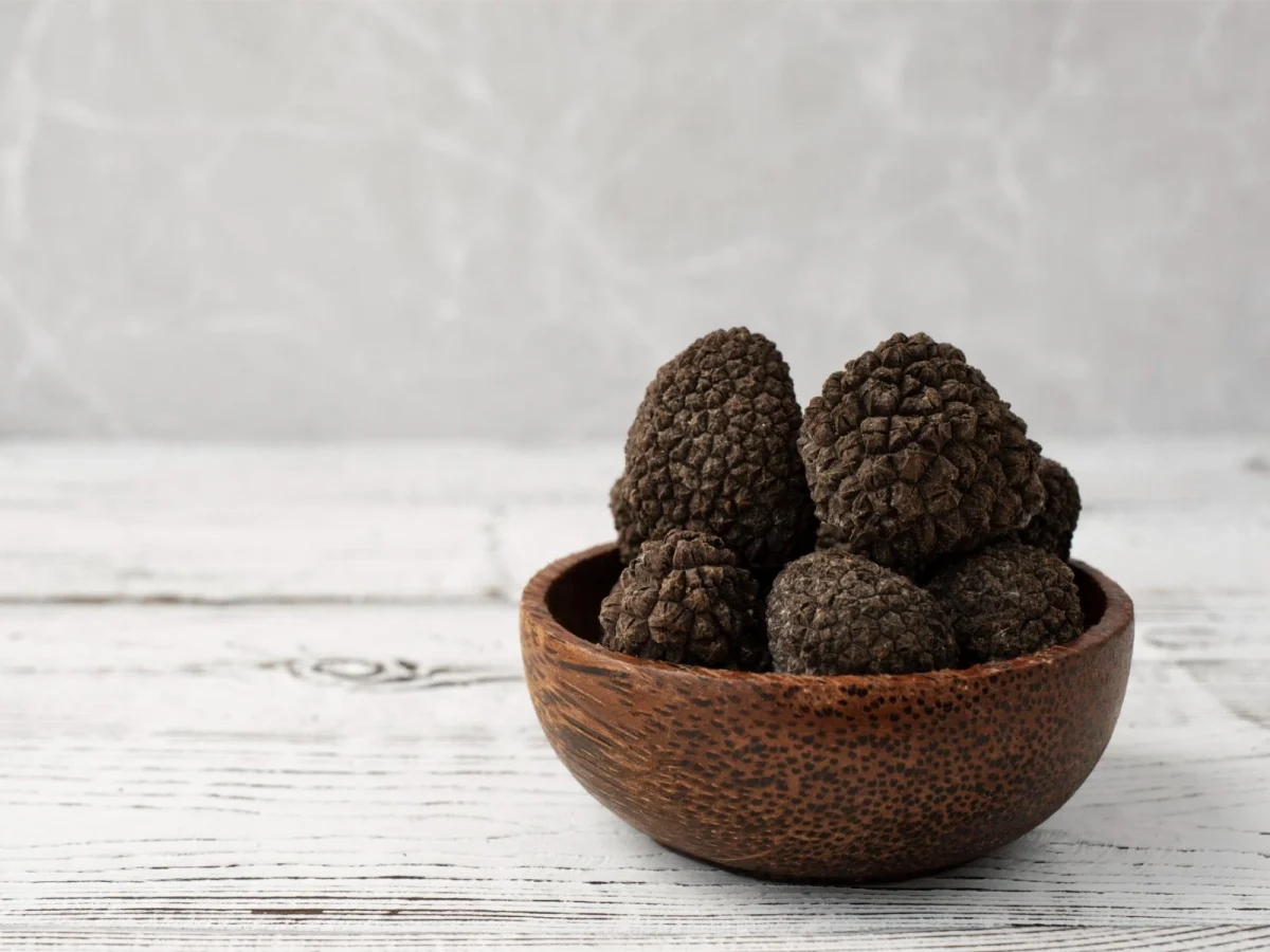 Imagen de Aragón, líder mundial de trufa negra: fraude y retos en su comercialización