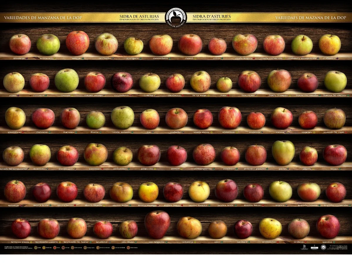 Imagen de Septiembre en Asturias: tiempo de manzanas y sidra