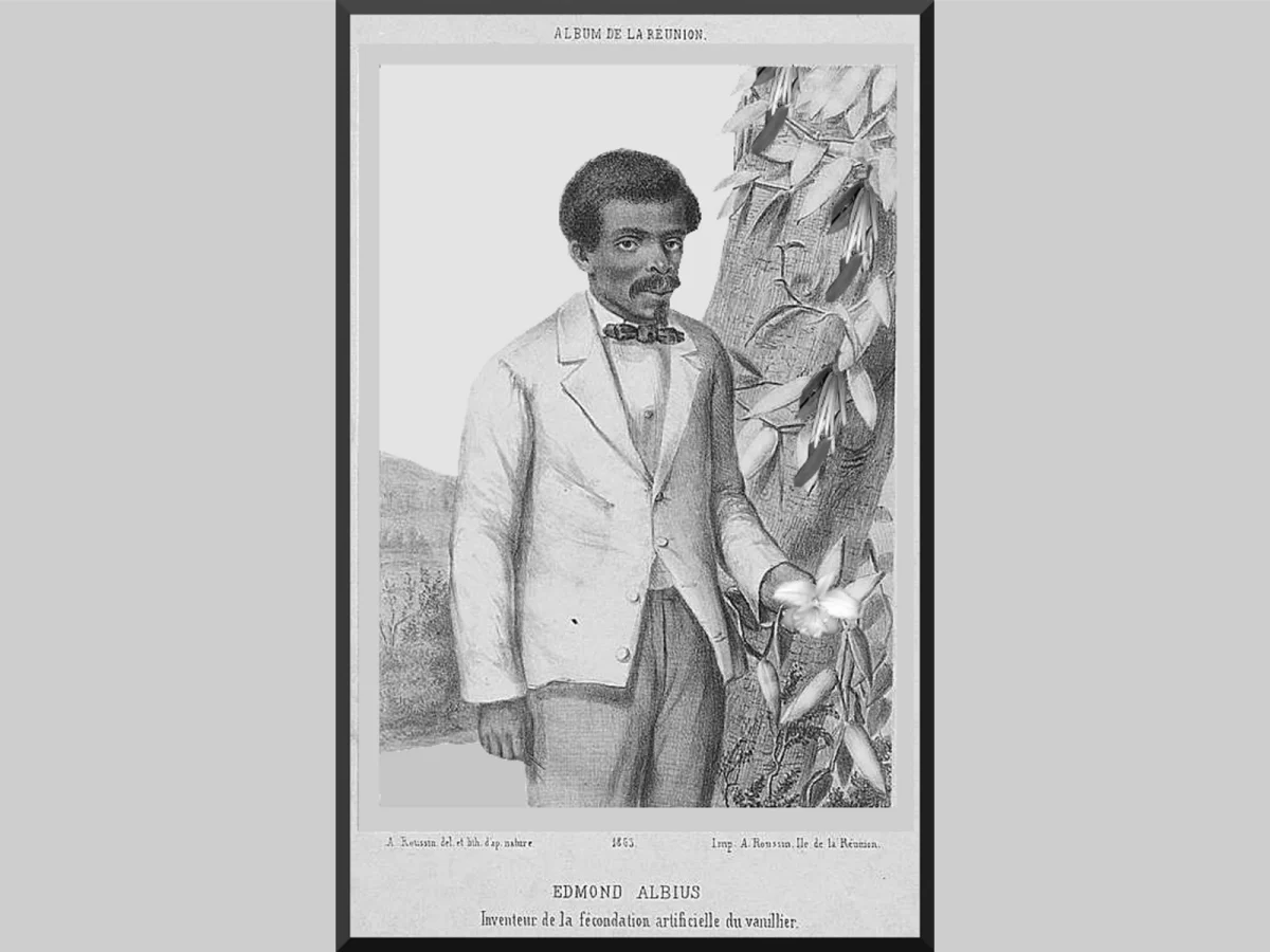 Imagen de La vainilla de Madagascar: el oro aromático del Índico 2 Imagen de La vainilla de Madagascar: el oro aromático del Índico