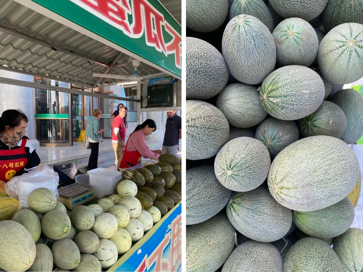 Imagen de La Ruta de la Seda: Libro de viaje (Completo)