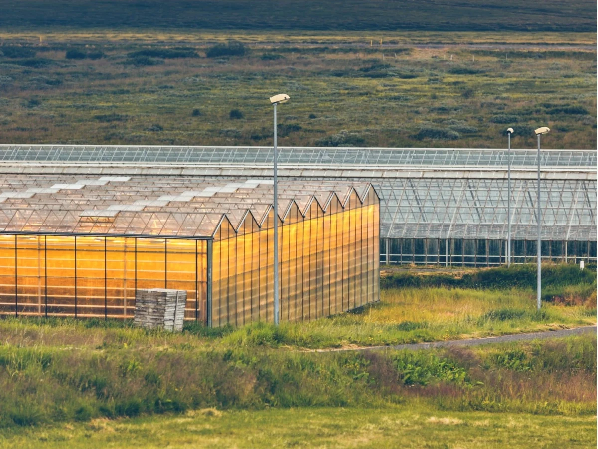 Imagen de Islandia, entre volcanes, fiordos y mesas inesperadas