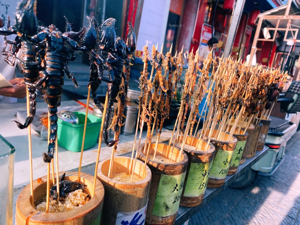 Imagen de La Ruta de la Seda: Libro de viaje (Completo)