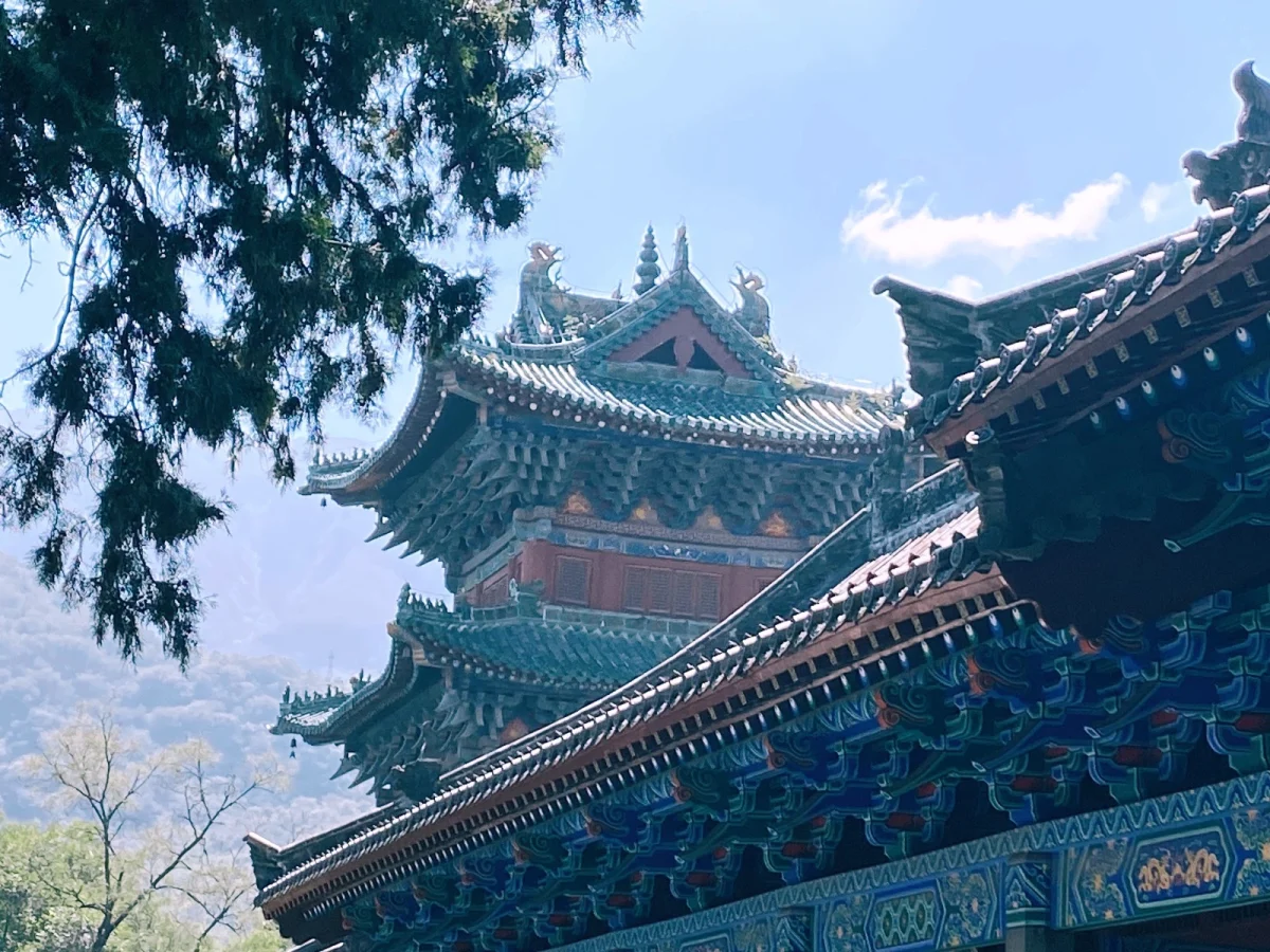 Imagen de La Ruta de la Seda: Libro de viaje (Completo)