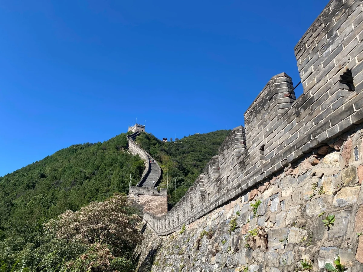 Imagen de La Ruta de la Seda: Libro de viaje (Completo)