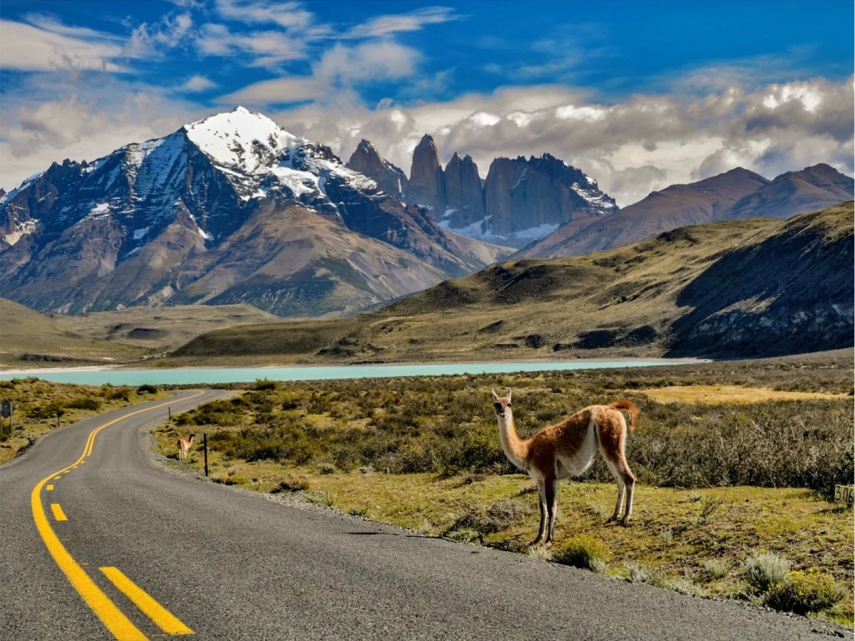 Imagen de Chile gastronómico y turístico: sabores que viajan entre cordillera y mar