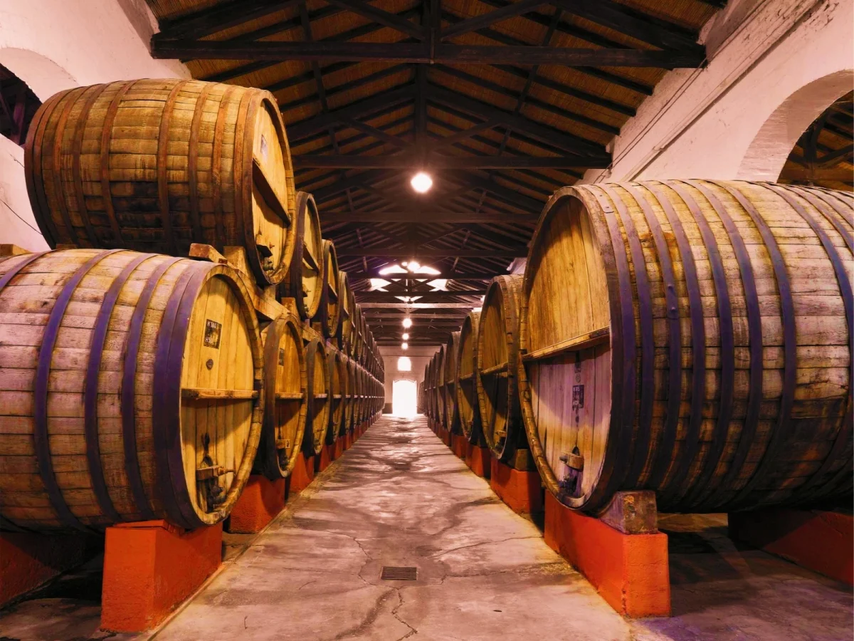 Imagen de Septiembre en Asturias: tiempo de manzanas y sidra