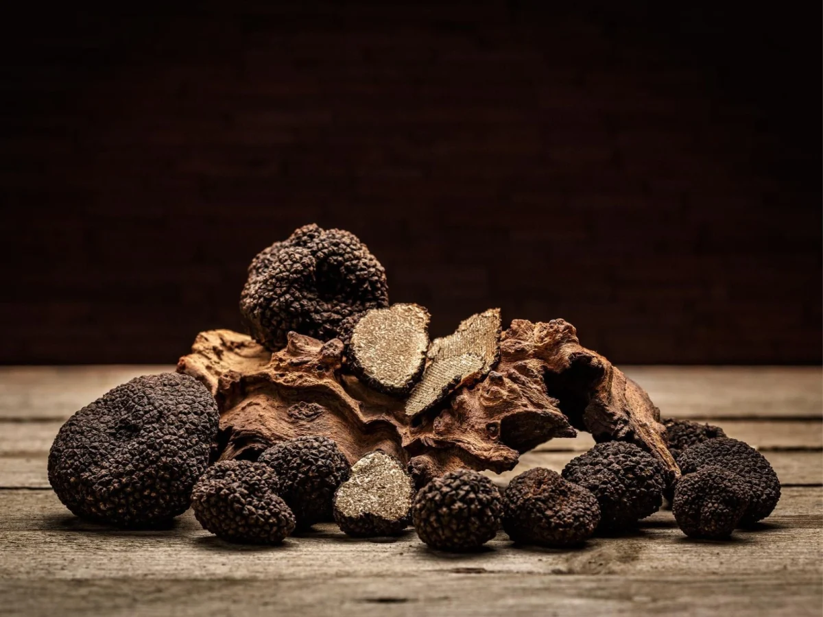 Imagen de Aragón, líder mundial de trufa negra: fraude y retos en su comercialización