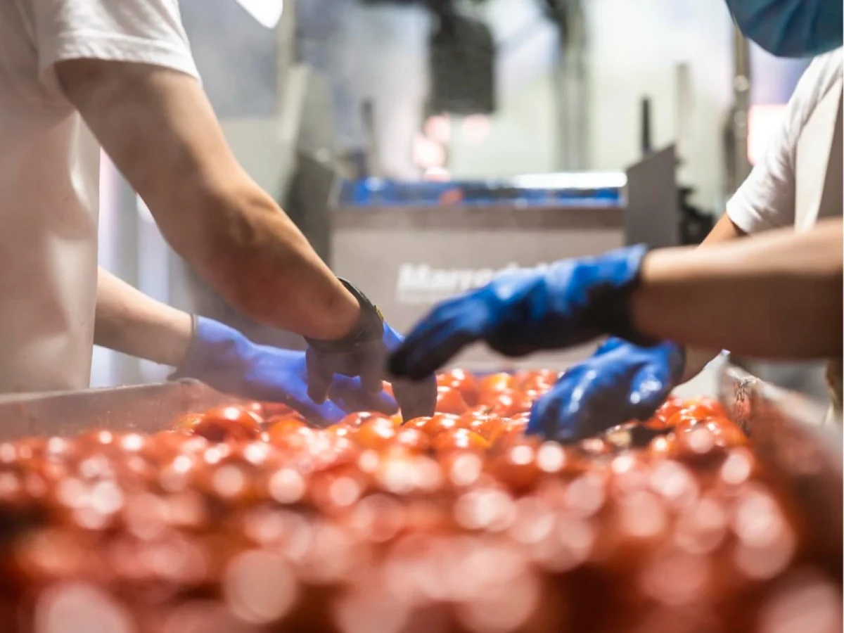 Imagen de Gastronomía social: la receta de Atades para un mundo más justo