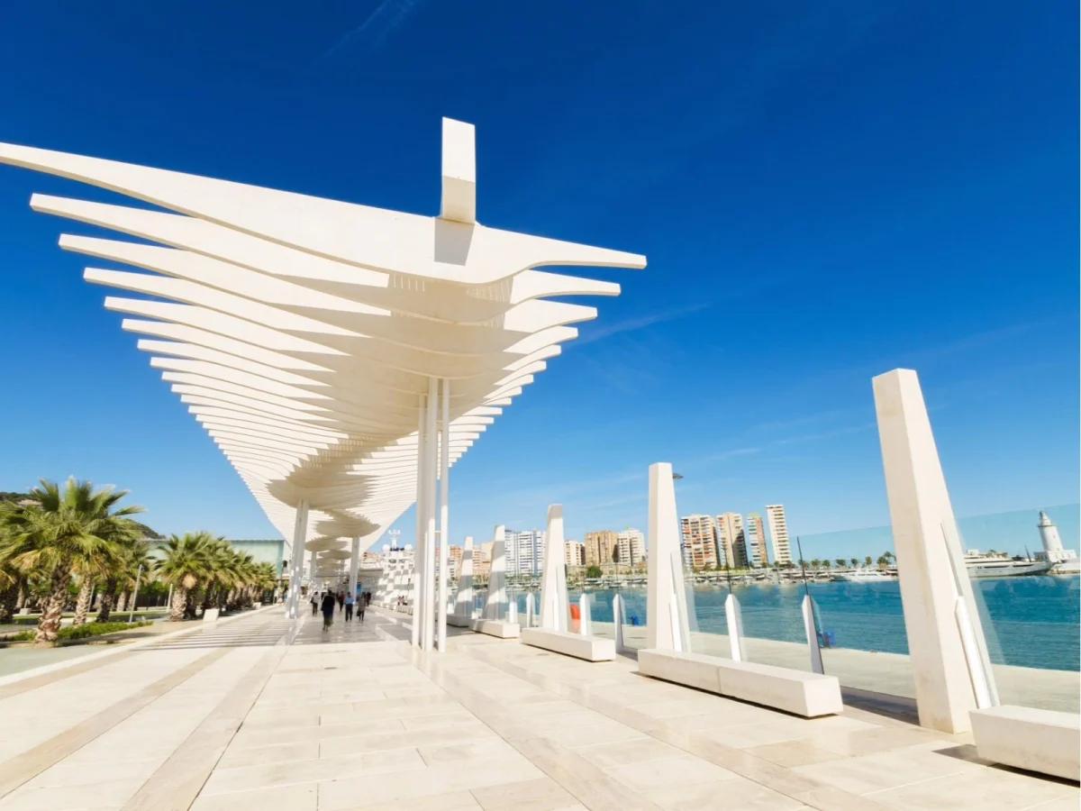 Imagen de Gastronomía de Málaga: el viaje culinario perfecto para el otoño andaluz 4 Imagen de Gastronomía de Málaga: el viaje culinario perfecto para el otoño andaluz