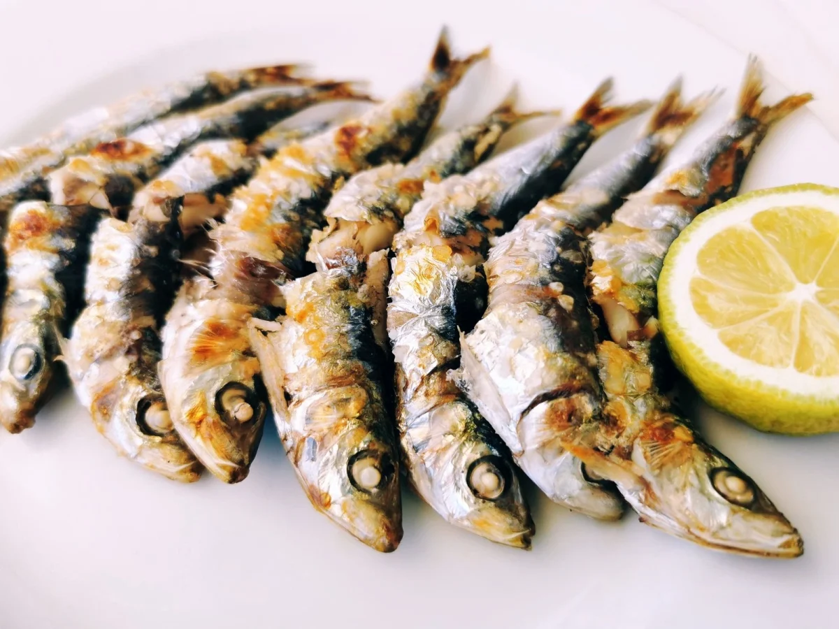 Imagen de Gastronomía de Málaga: el viaje culinario perfecto para el otoño andaluz 1 Imagen de Gastronomía de Málaga: el viaje culinario perfecto para el otoño andaluz