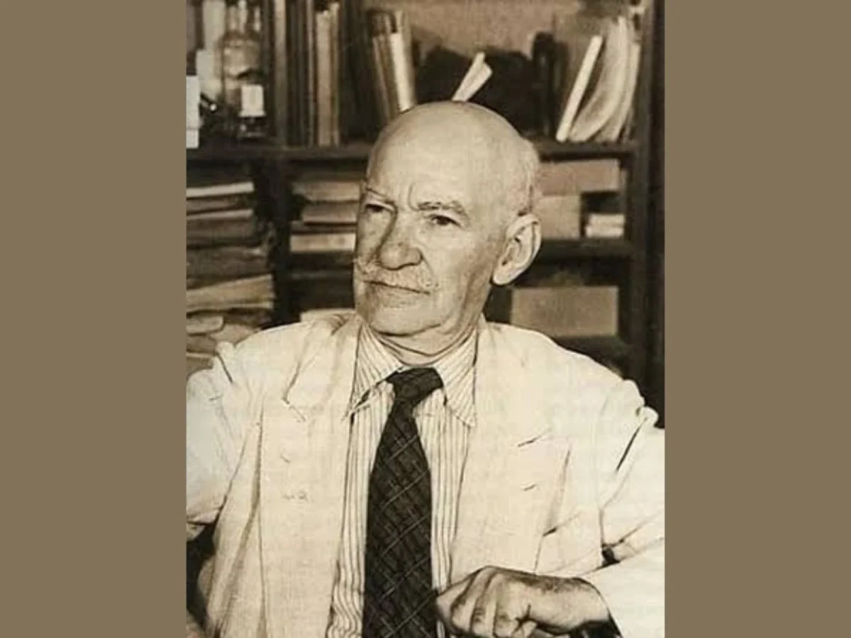 Imagen de Grecia en tu plato: los templos de la Moussaka más famosa del mundo