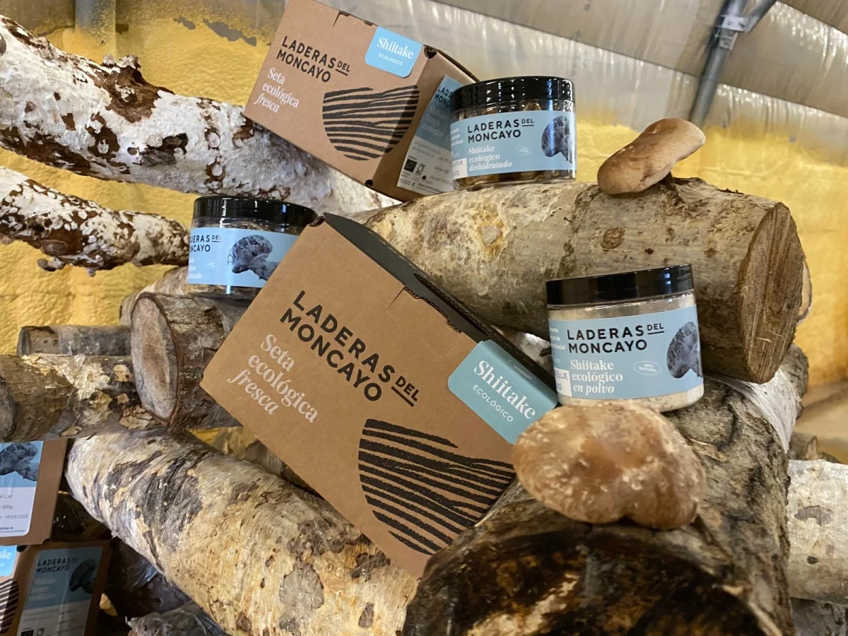 Imagen de Gastronomía social: la receta de Atades para un mundo más justo