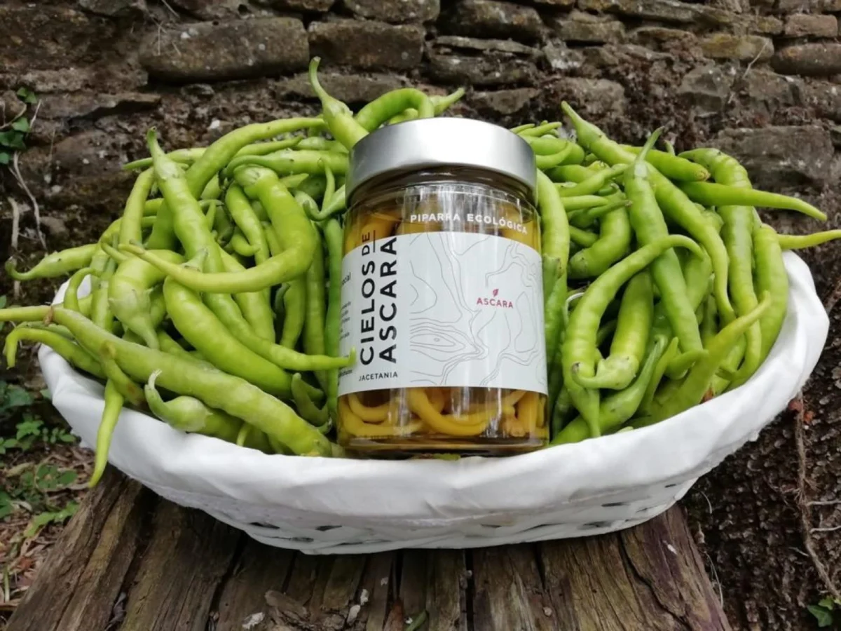 Imagen de Gastronomía social: la receta de Atades para un mundo más justo