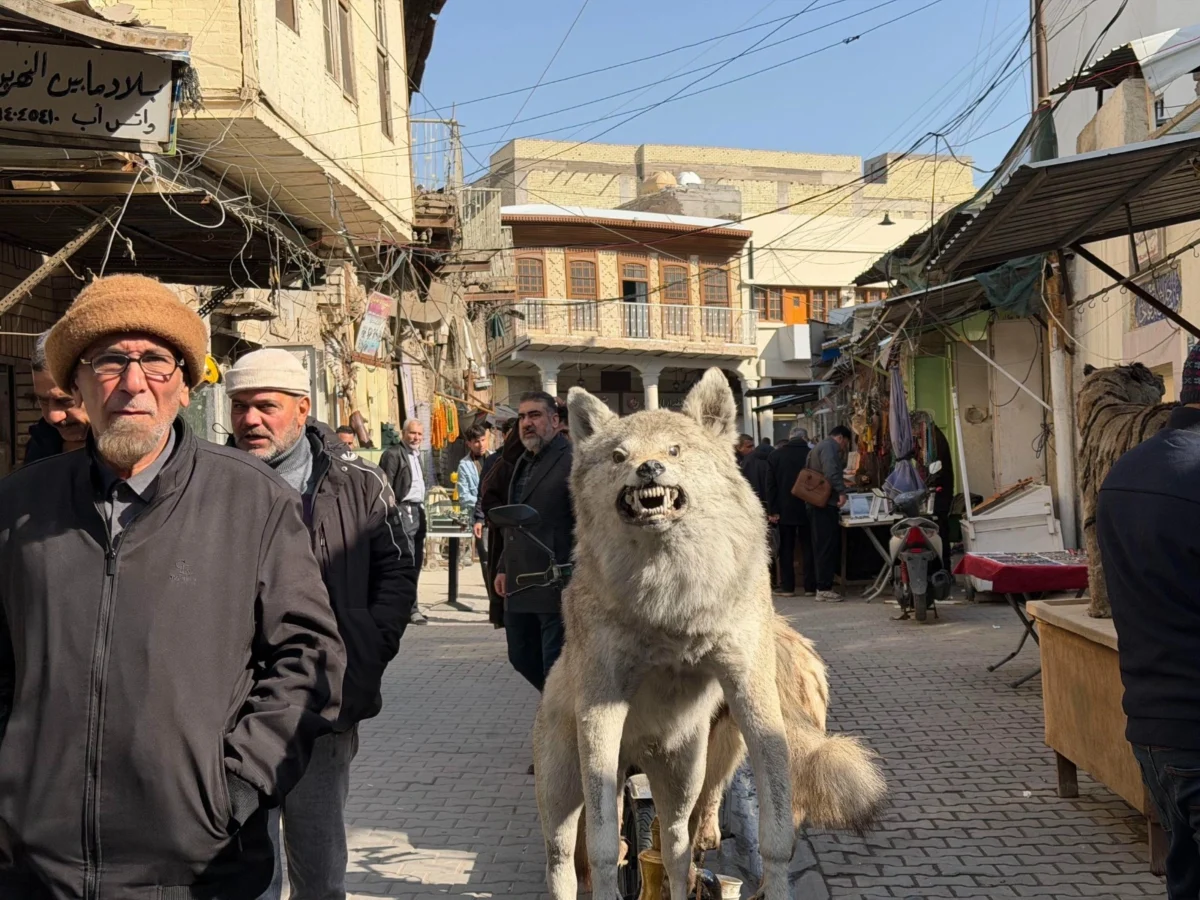 Imagen de Mesopotamia (Irak): Libro de viaje 56 Imagen de Mesopotamia (Irak): Libro de viaje