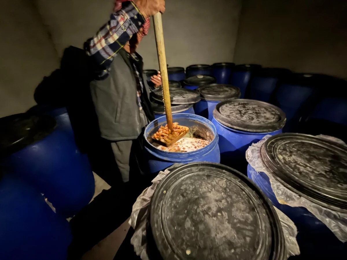 Imagen de Mesopotamia (Irak): Libro de viaje 88 Imagen de Mesopotamia (Irak): Libro de viaje