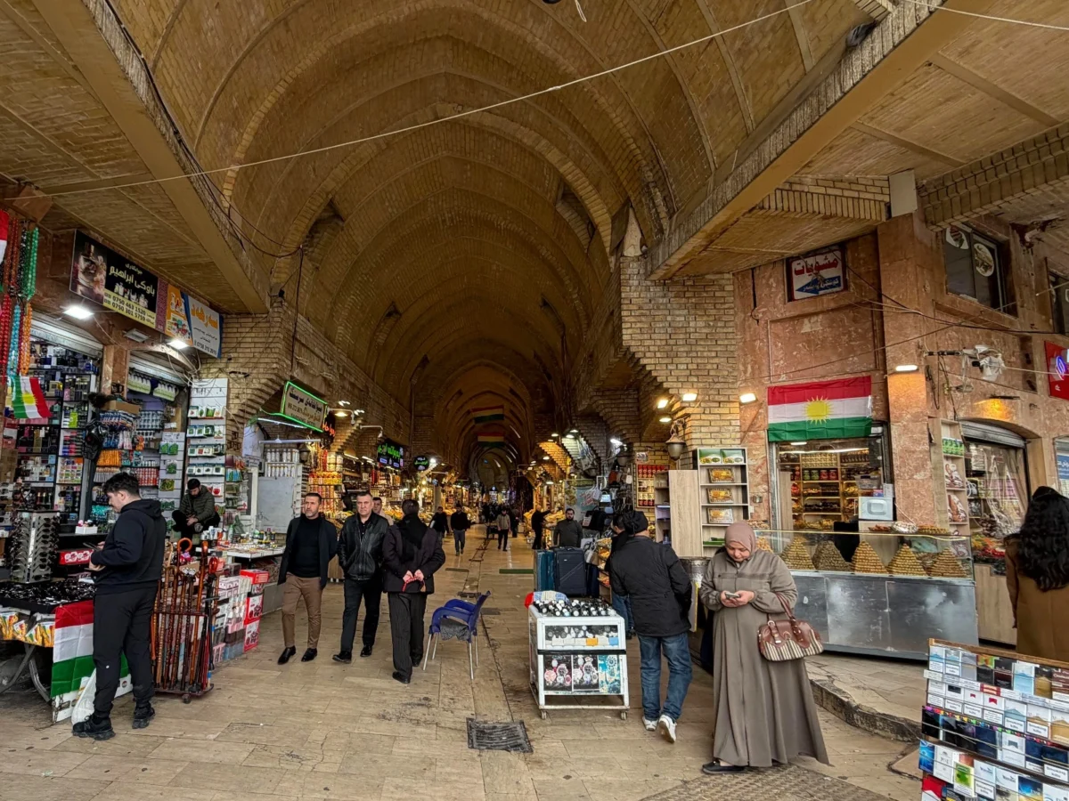 Imagen de Mesopotamia (Irak): Libro de viaje