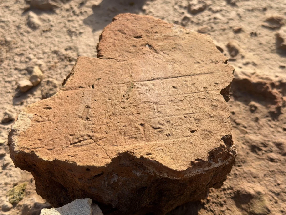 Imagen de Mesopotamia (Irak): Libro de viaje 47 Imagen de Mesopotamia (Irak): Libro de viaje