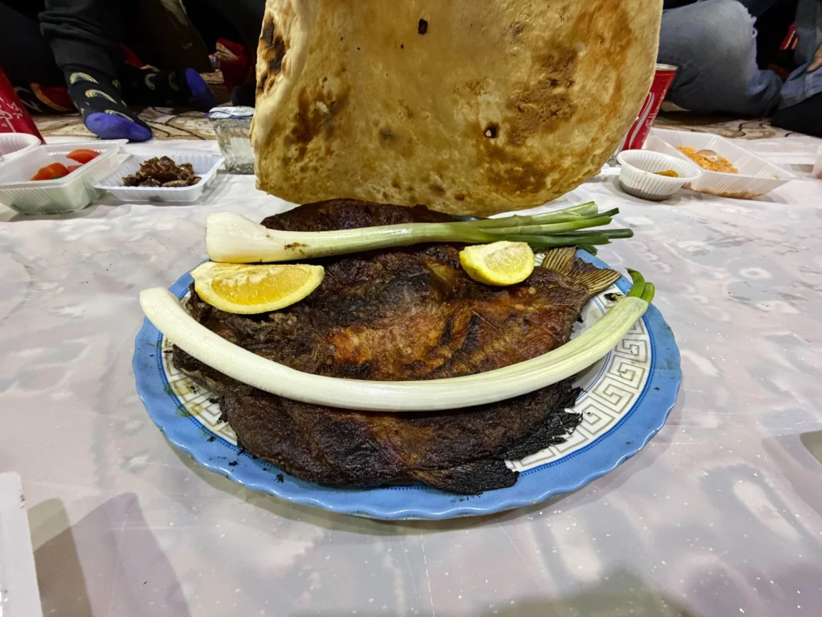 Imagen de Mesopotamia (Irak): Libro de viaje 18 Imagen de Mesopotamia (Irak): Libro de viaje