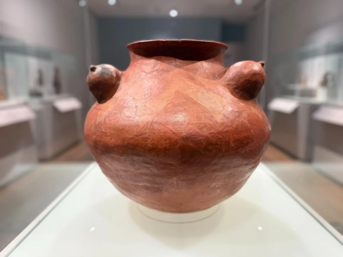 Imagen de La mujer en la cocina mexicana: diosas del maíz y el maguey 4 Imagen de La mujer en la cocina mexicana: diosas del maíz y el maguey