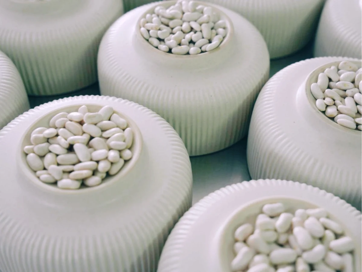 Imagen de Fesol de Beseit: la judía de lujo que resiste en el Matarraña