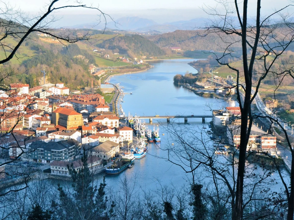 Imagen de Un viaje a Orio para entender por qué su besugo sigue marcando la parrilla vasca 1 Imagen de Un viaje a Orio para entender por qué su besugo sigue marcando la parrilla vasca